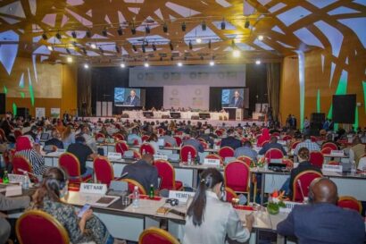 281355764_352849850279540_3009339073376401396_n